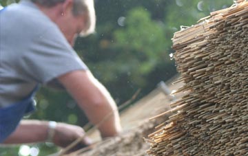 professional Penbedw thatchers