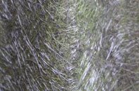 Penbedw fibreglass roof work